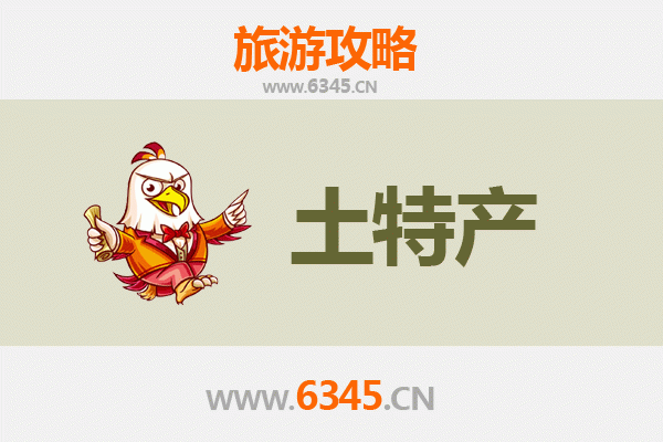 文昌冯坡镇旅游必带土特产推荐